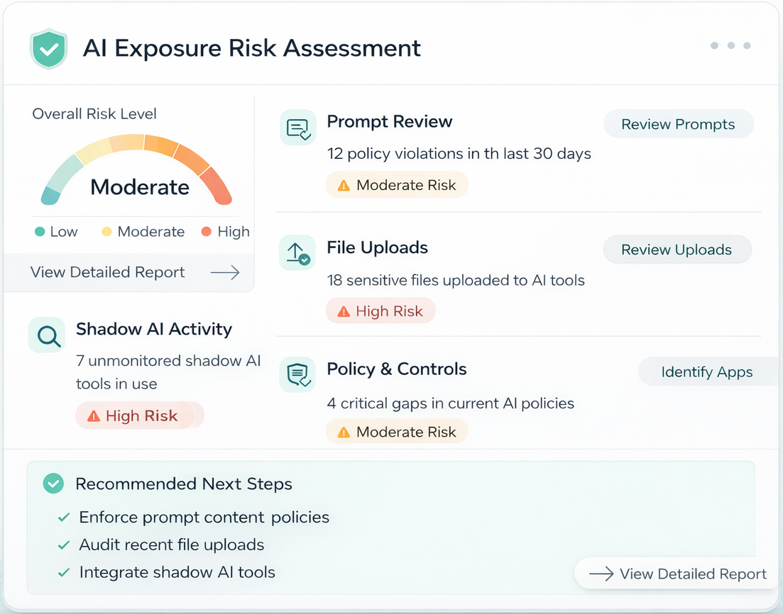 Assessment summary preview showing likely prompt risk, upload exposure, shadow AI visibility, control gaps, and recommended next steps.
